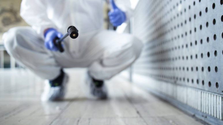 Higiene Ambiental | Control de Plagas